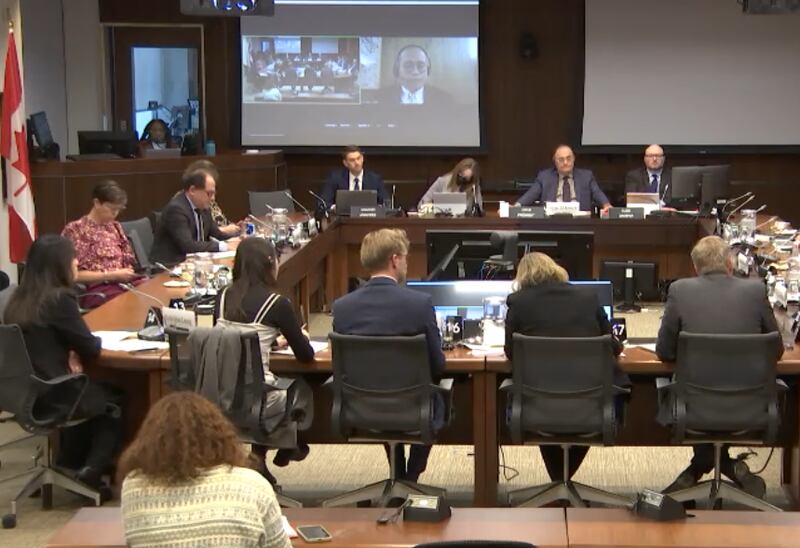 黎智英儿子黎崇恩透过视讯方式出席,黎智英的国际律师团、以及对华政策跨国议会联盟代表、香港监察代表等人则亲自出席听证会。(视频会议截图)