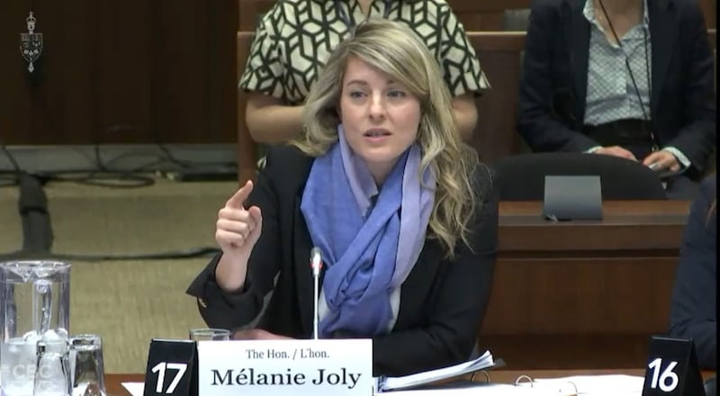 加拿大外长乔美兰(Mélanie Joly)说正考虑驱逐中国外交官,但在评估可能要承担的後果。 (视频会议截图)